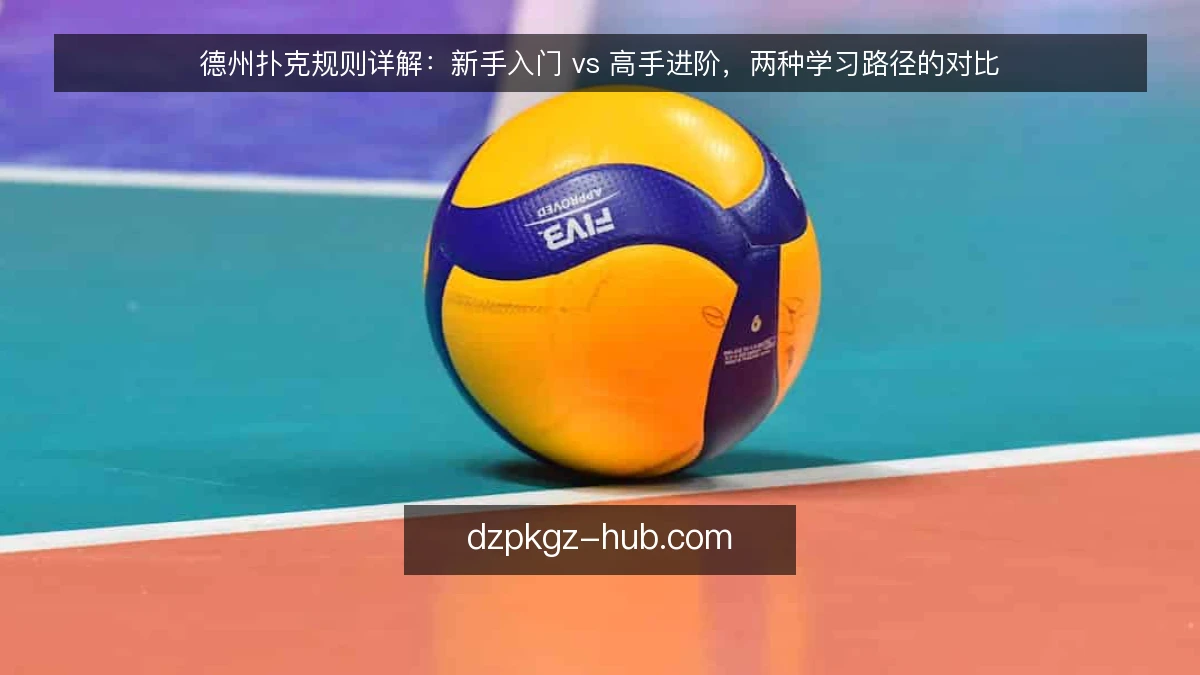德州扑克规则详解：新手入门 vs 高手进阶，两种学习路径的对比